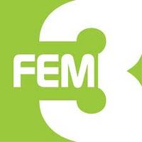 FEM3