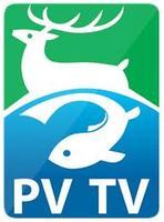 PV TV